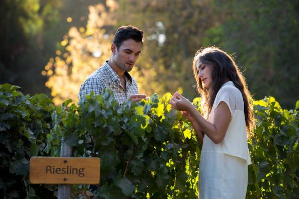 Fotos Vi_T5A9818_resized